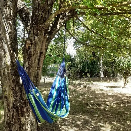 Casa vacanze Fleur De Tilleul Vailhourles