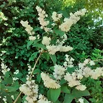Fleur De Tilleul 度假居