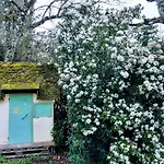 Fleur De Tilleul Vailhourles