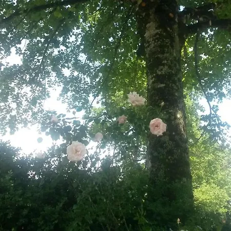 Дом отдыха Fleur De Tilleul *