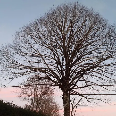 Fleur De Tilleul Prázdninový dům Vailhourles