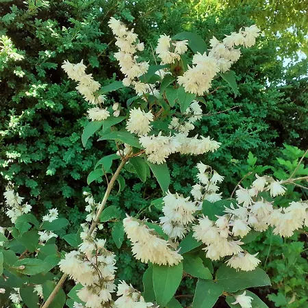 Fleur De Tilleul 度假居