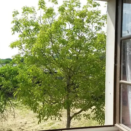 Fleur De Tilleul Feriehus Vailhourles