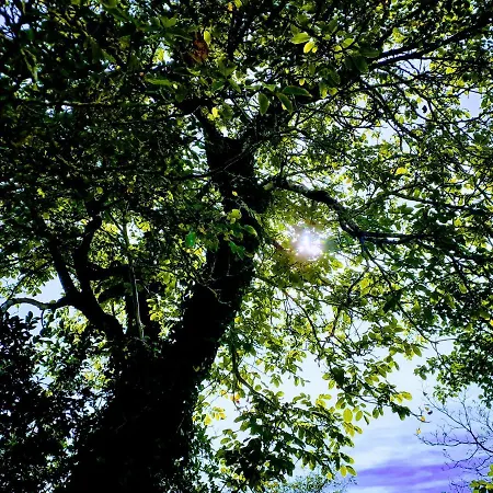 Fleur De Tilleul Ferienhaus *