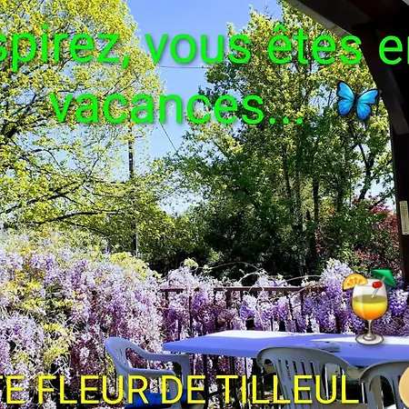 Fleur De Tilleul * Vailhourles