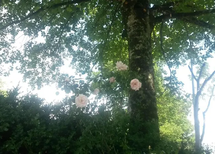 Feriehus Fleur De Tilleul *