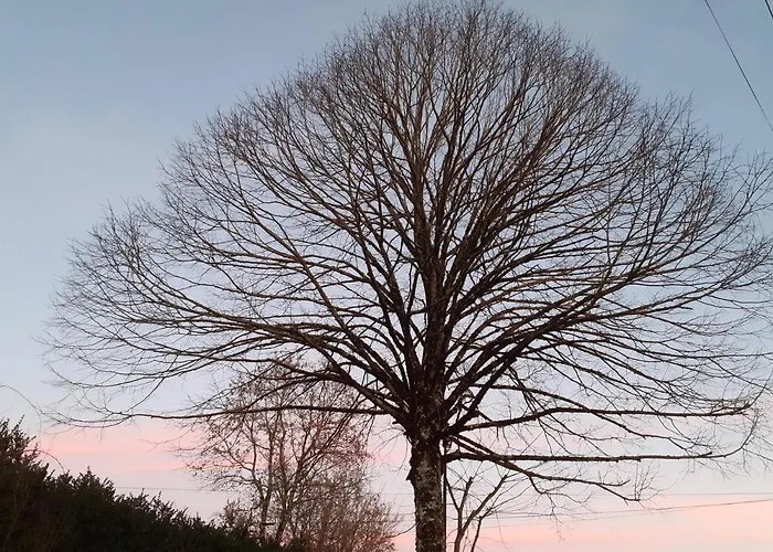 Fleur De Tilleul Feriehus Vailhourles