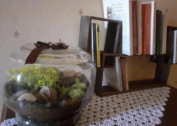 Fleur De Tilleul Vailhourles