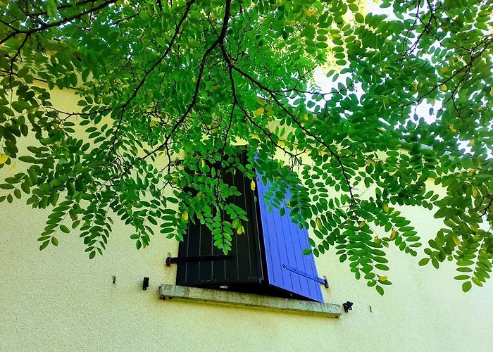 Fleur De Tilleul Feriehus Vailhourles